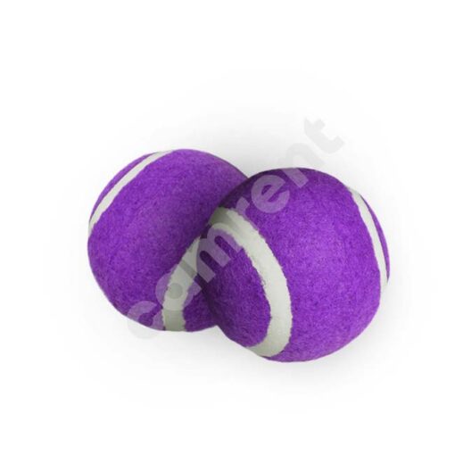 CAMRENT tennis balls set 3x