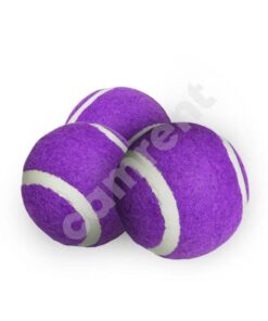 CAMRENT tennis balls set 3x