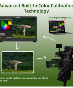 CAMRENT OSEE Mega 22s Monitor