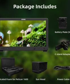 CAMRENT OSEE Mega 22s Monitor